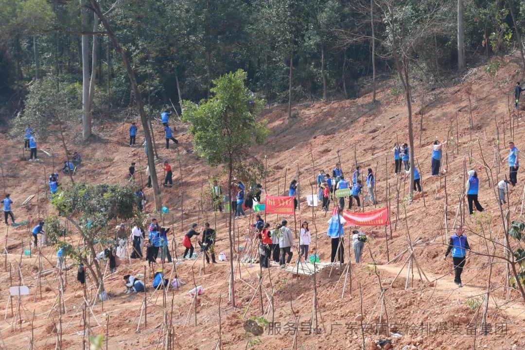 1742804420587883.jpg 1742804420587883.jpg